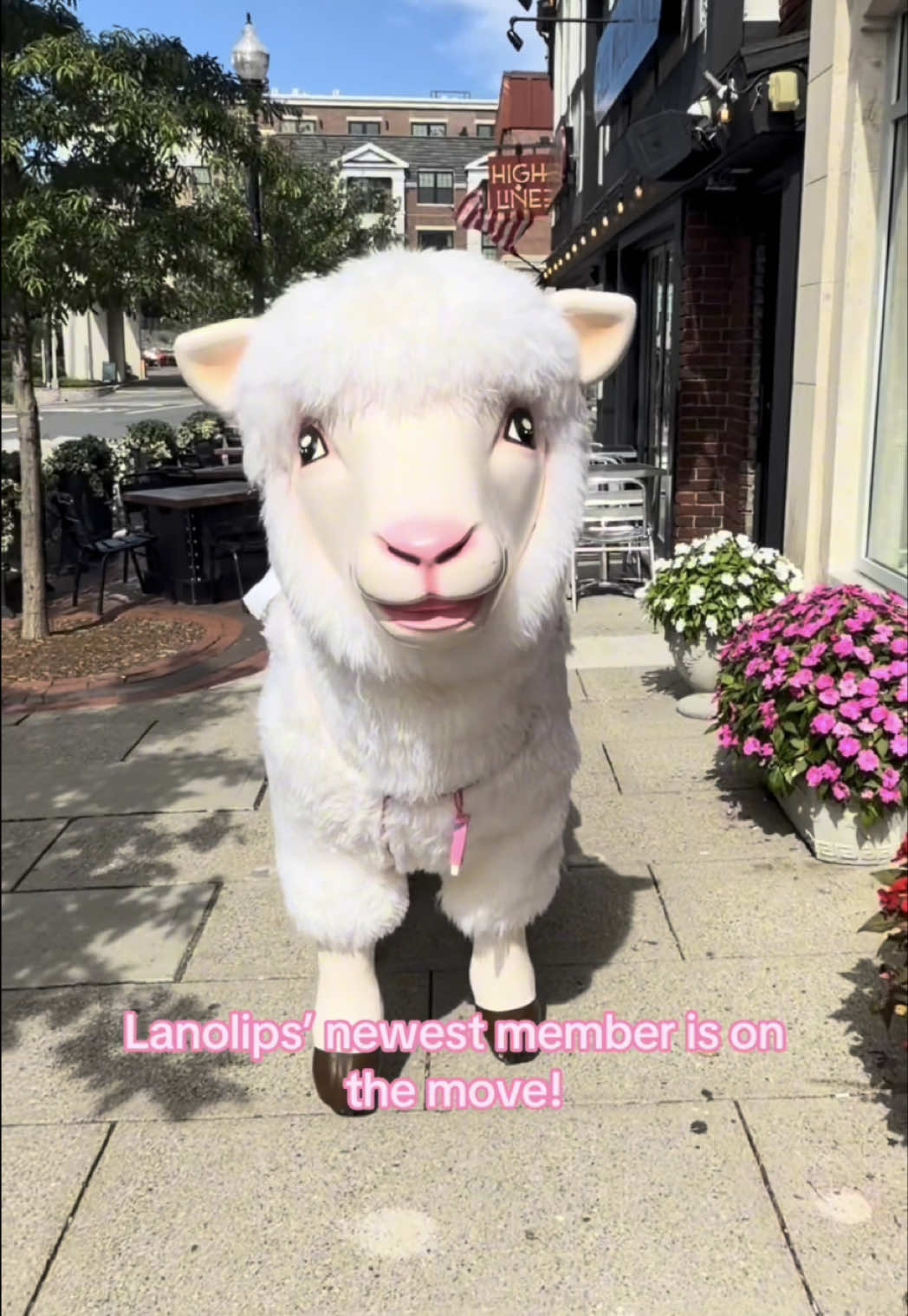@Lanolips