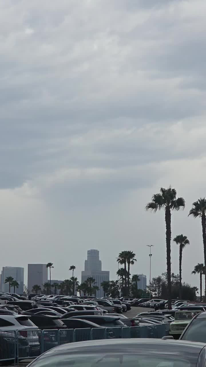@ElChavoDodger 🇲🇽