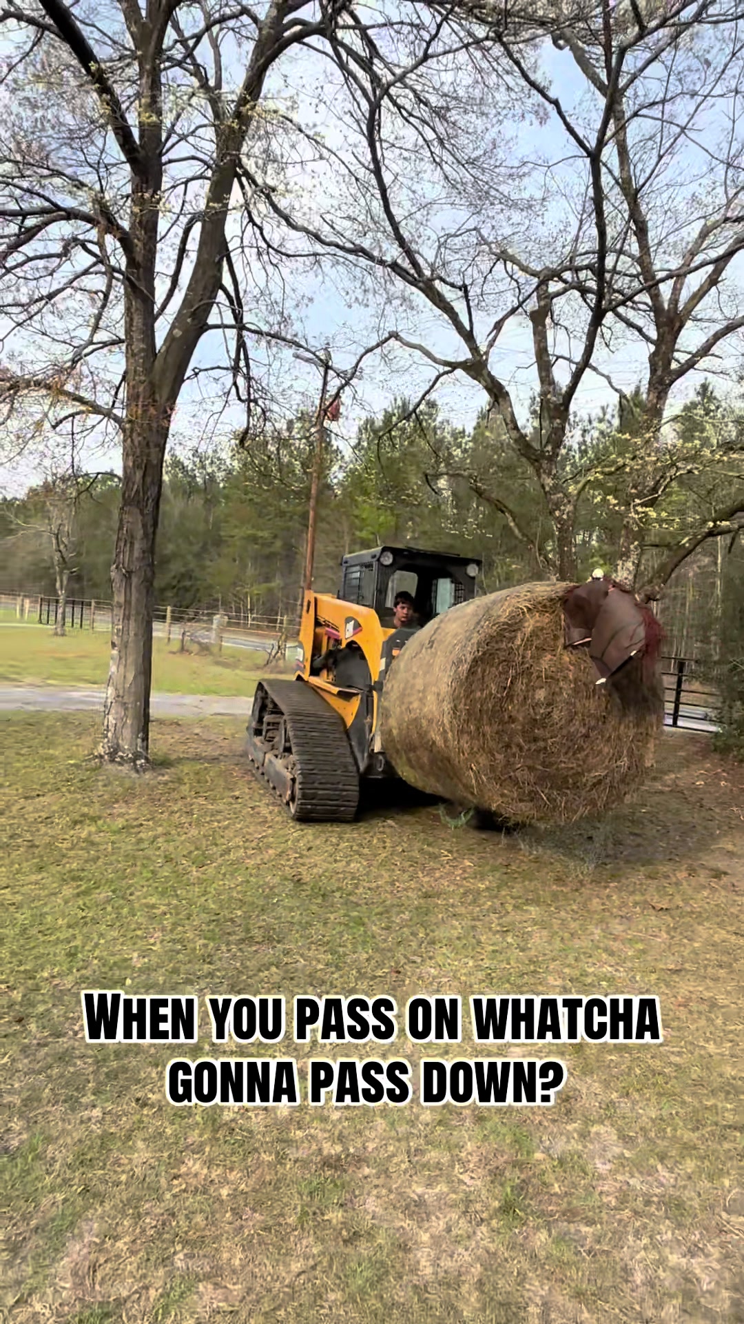 @itiswellstables