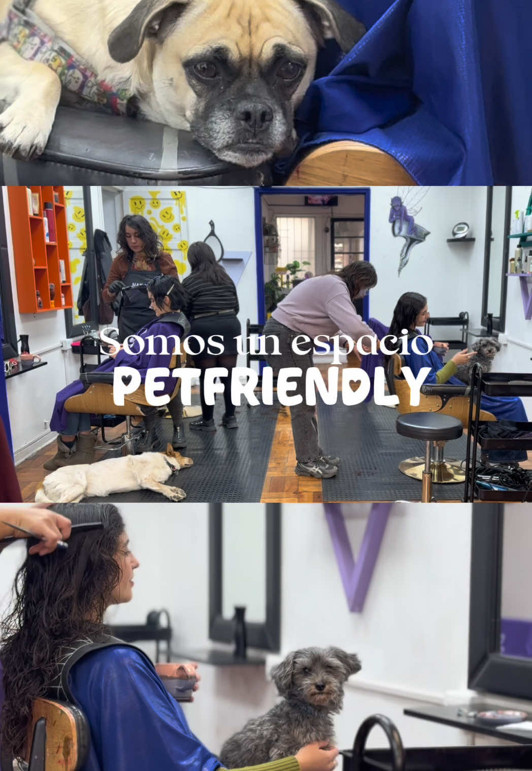 @Peluquer&iacute;a  👁 Luna