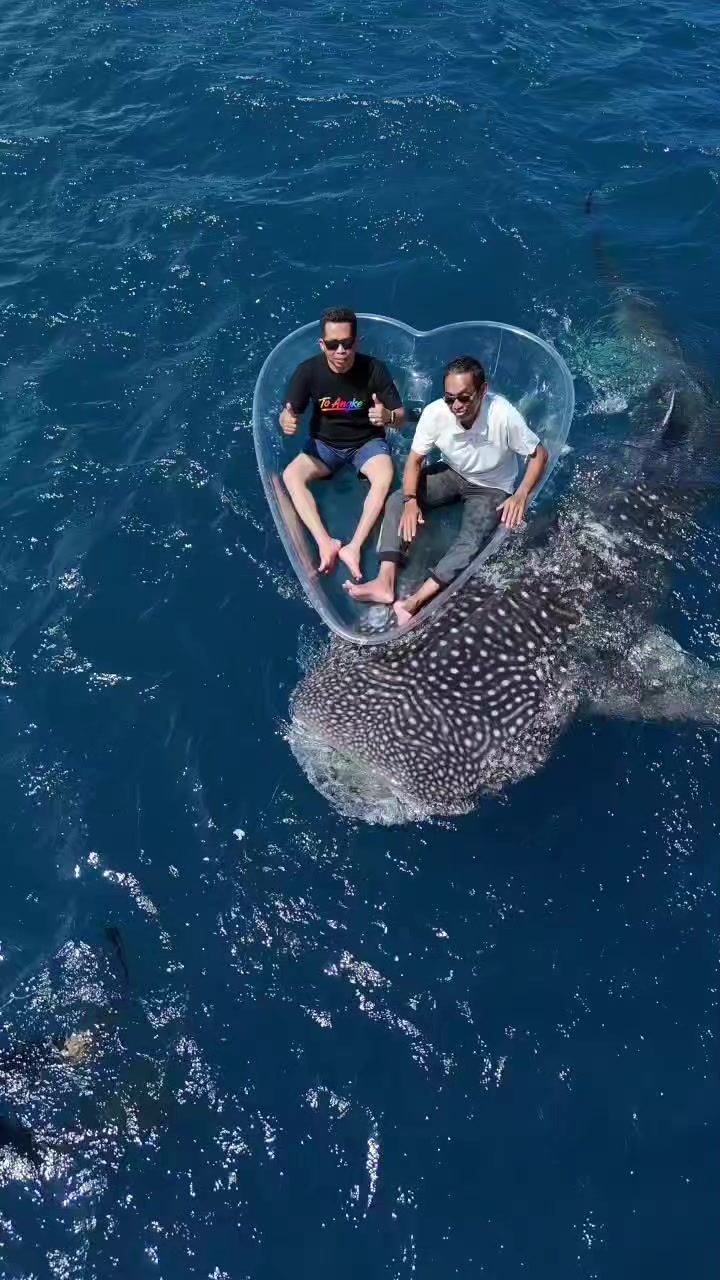 @𝗬𝘂𝘀𝘂𝗳 𝗟𝗮𝘁𝗶𝗲𝗳