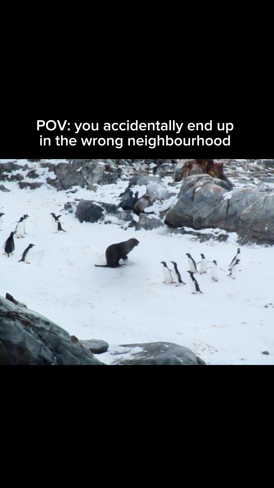 @Matty Jordan | Antarctica