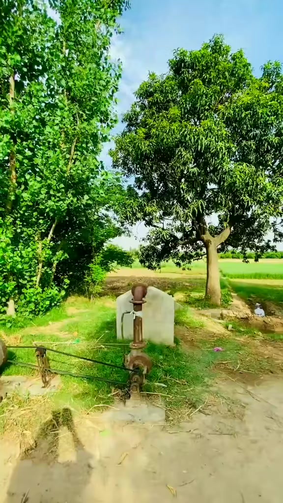 @Usama bhai