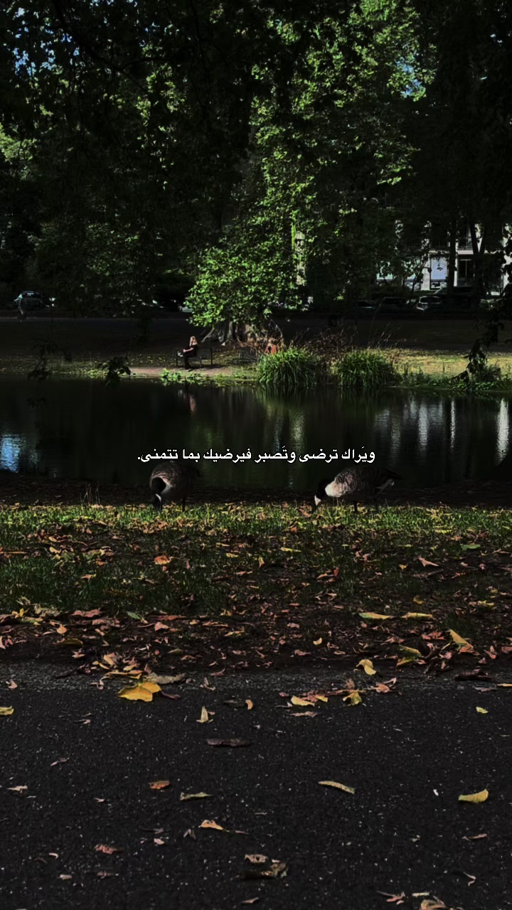 @رٌ | 𝟏𝟗𝟗𝟓