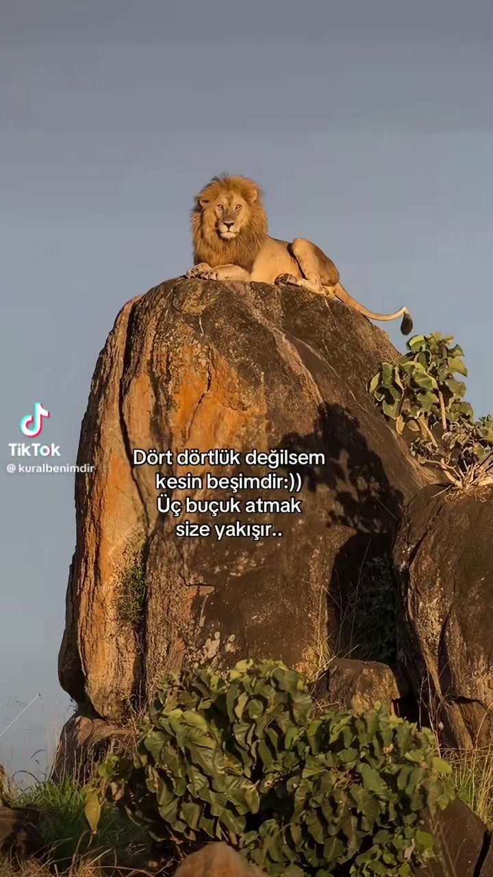 @❤️🩹buzlar kraliçesi.35❤️🩹