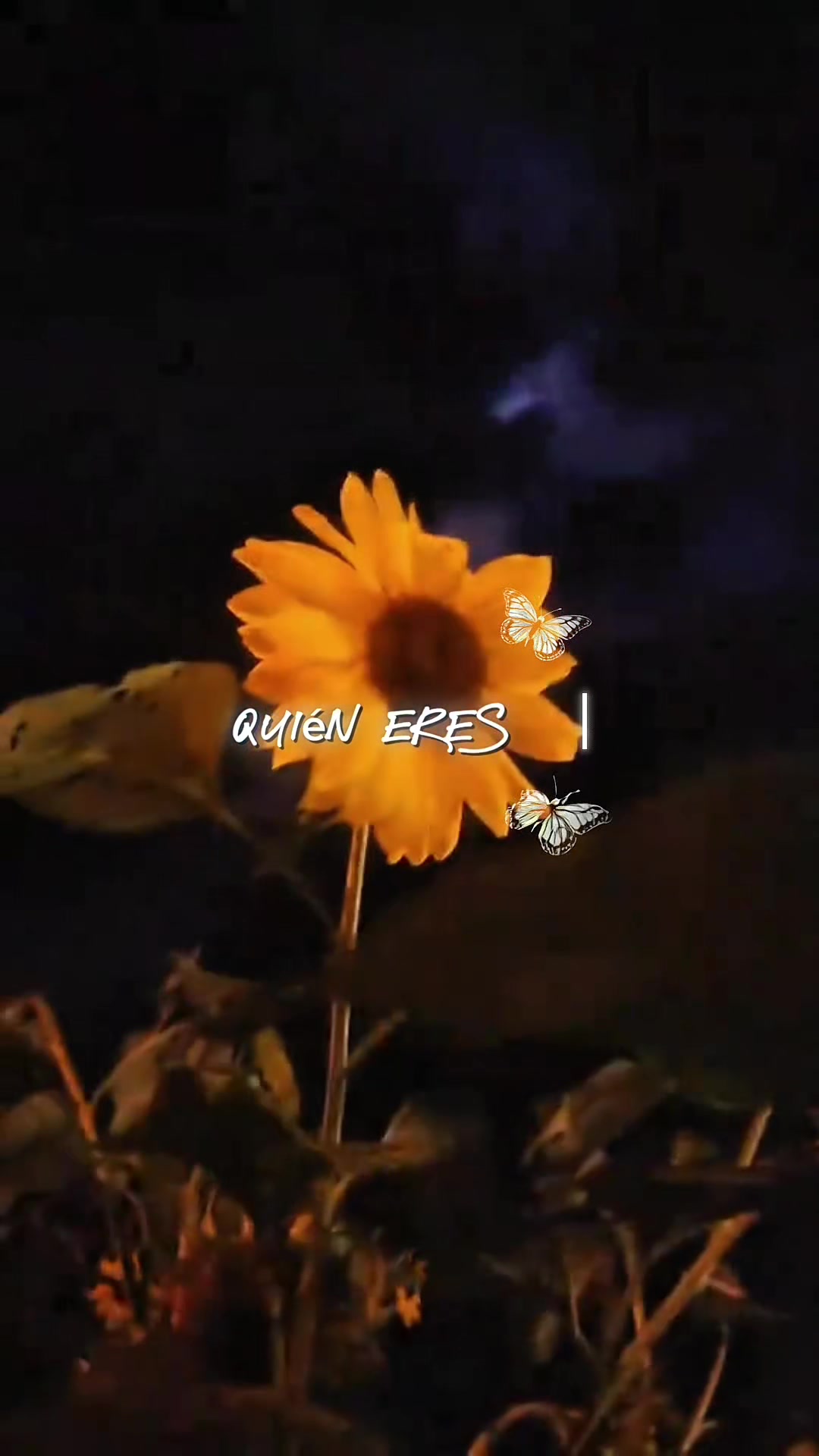 @🎧 𝙐𝘽𝙀𝙍 𝘿𝙑𝙅 🎼