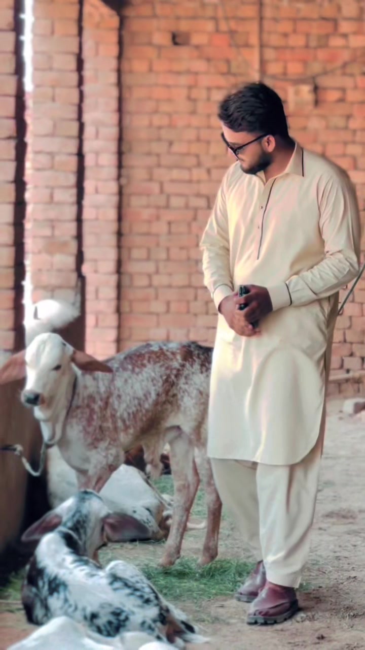 @میرانی بلوچ👑
