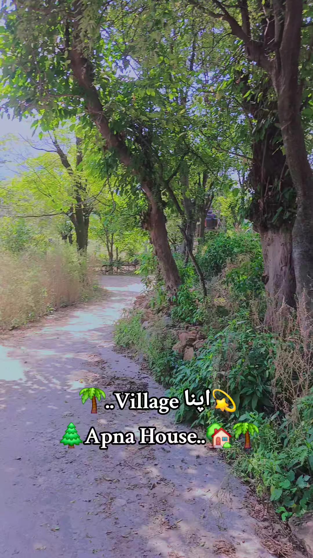 @⭐️🌹⭐️.راجہ جی.⭐️🌹⭐️