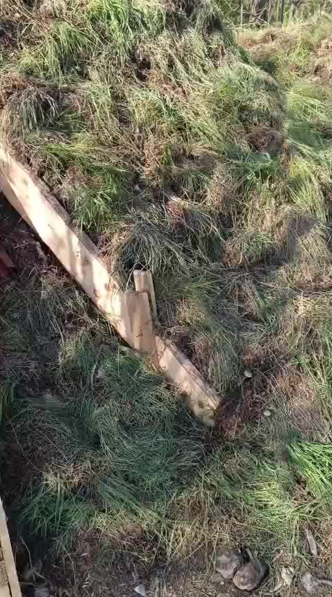 @ПоЛоЖеНеЦ