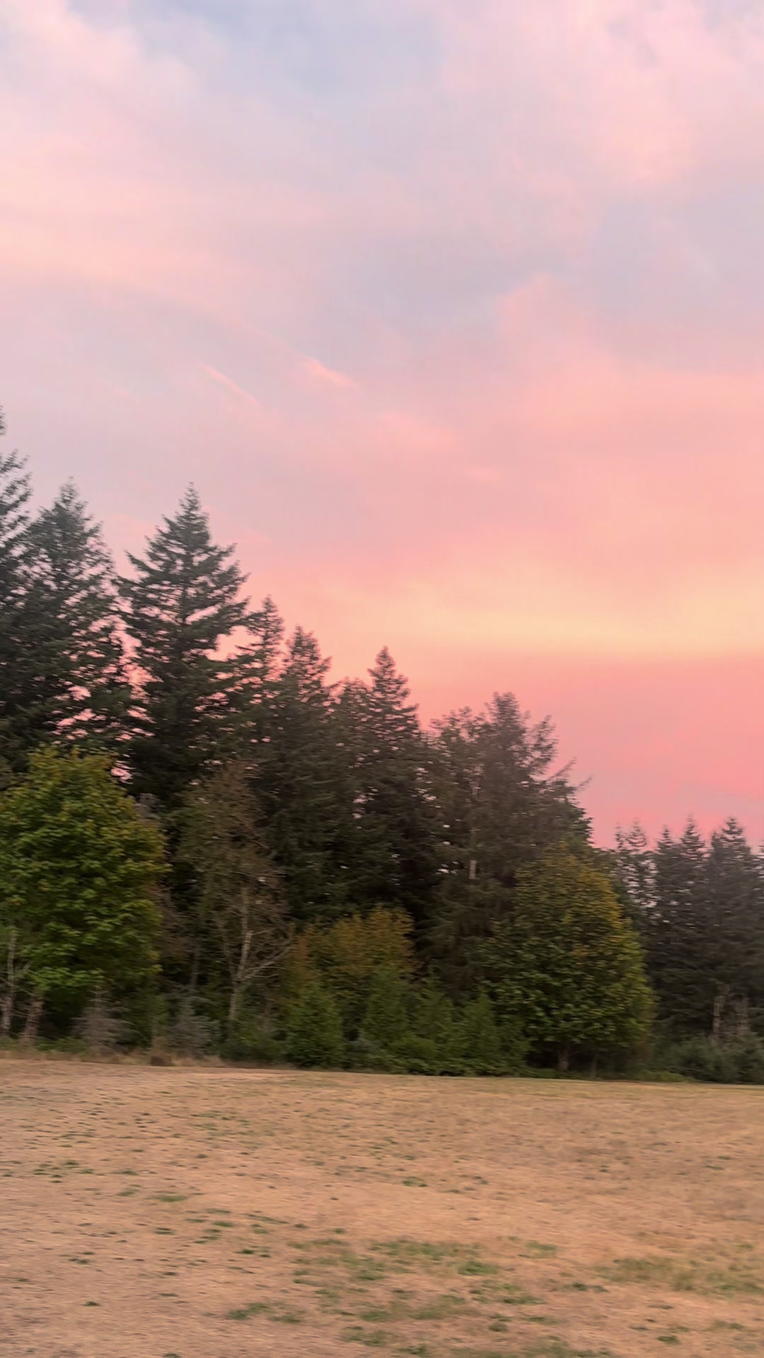 @LifeinthePNW