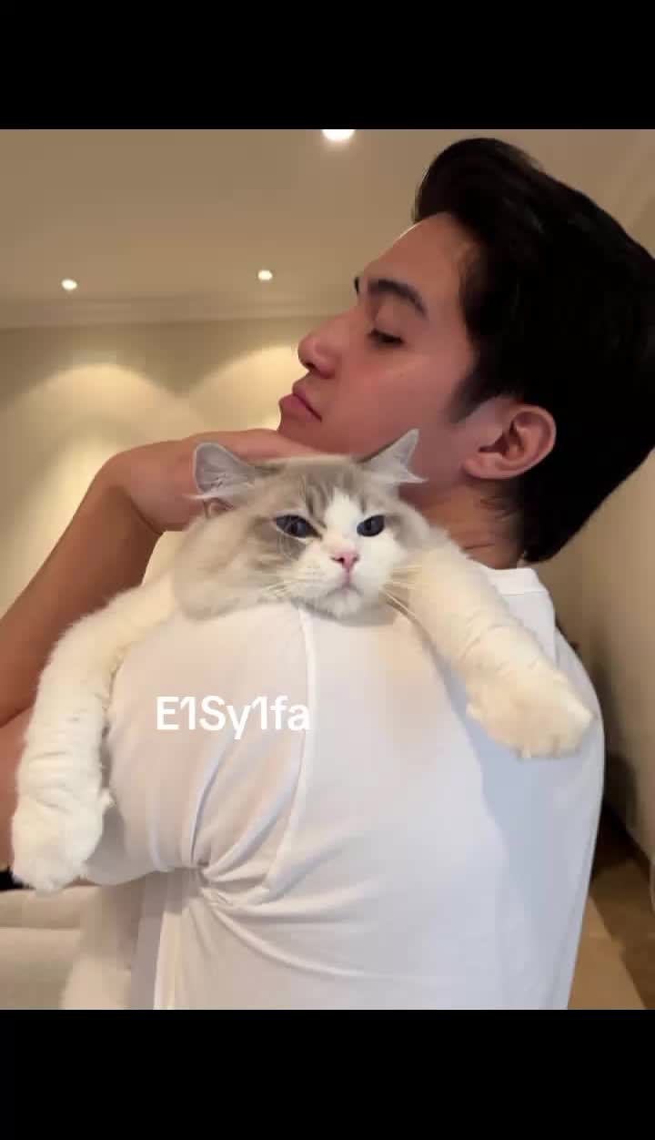 @E1Sy1fa