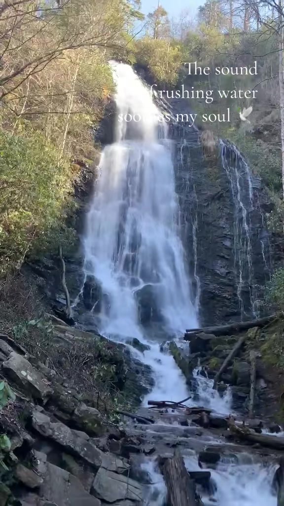 @Settled Waters⋆.ೃ࿔*:・⊹. Artist