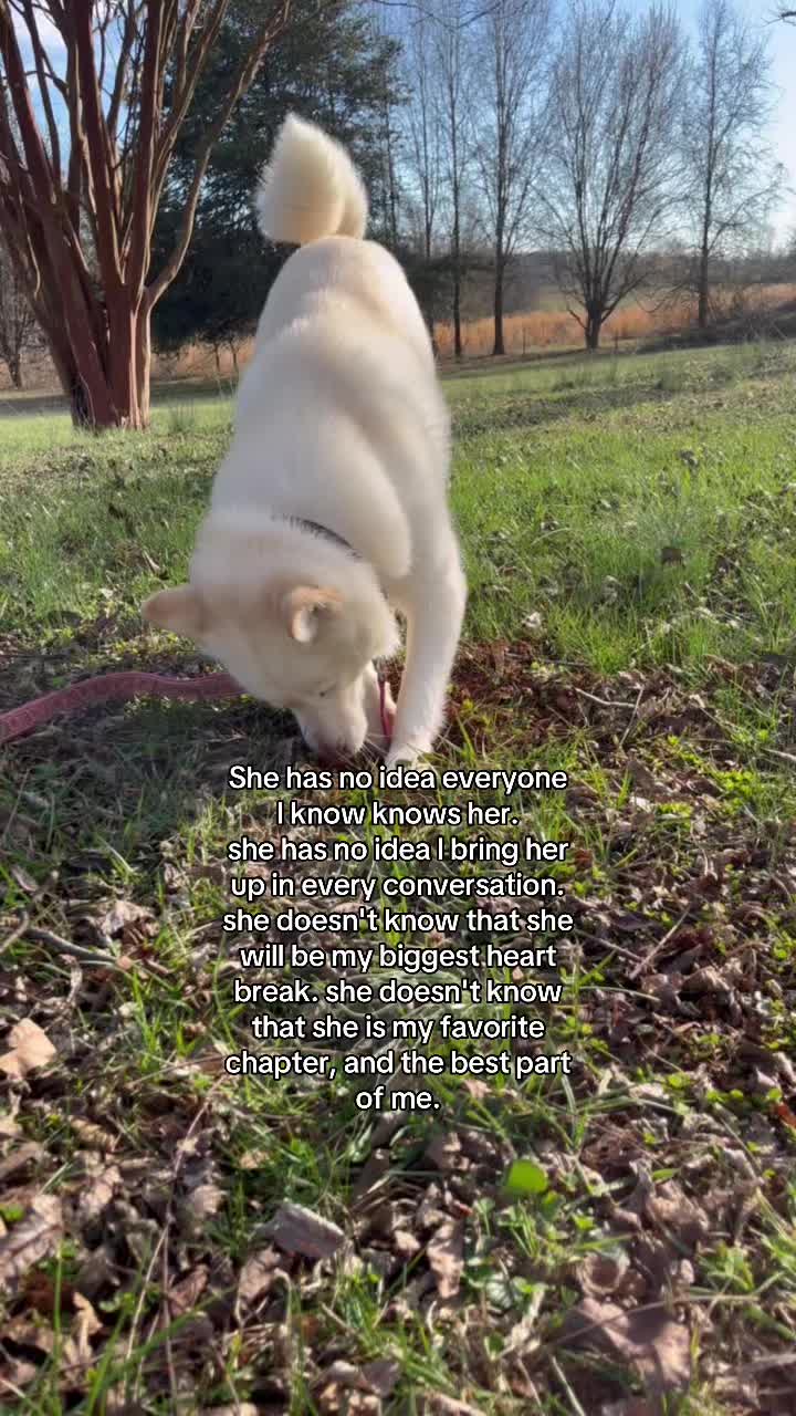 @โฎ° ๐๊
๊๊๊๊ฉ๊
๊๊๊๐ °โฎ