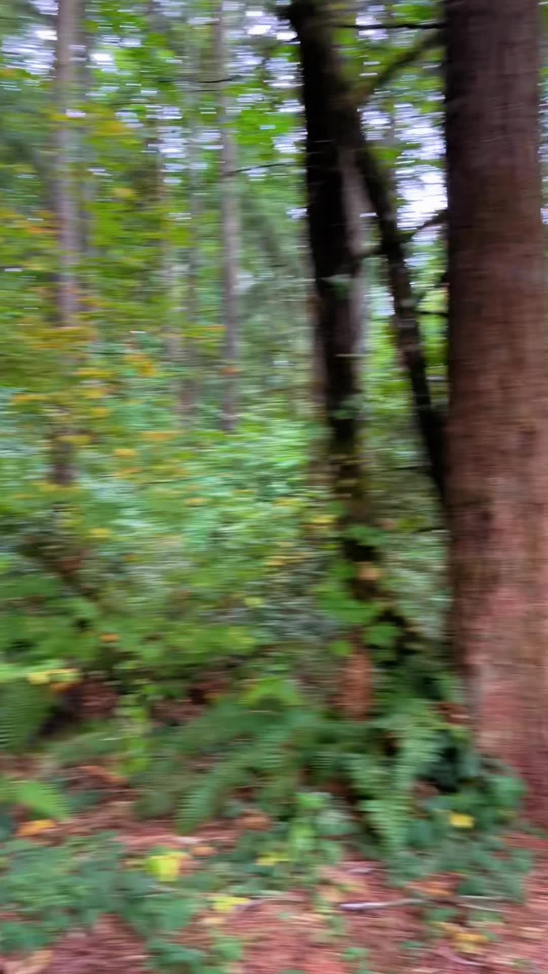 @wally_the_brave