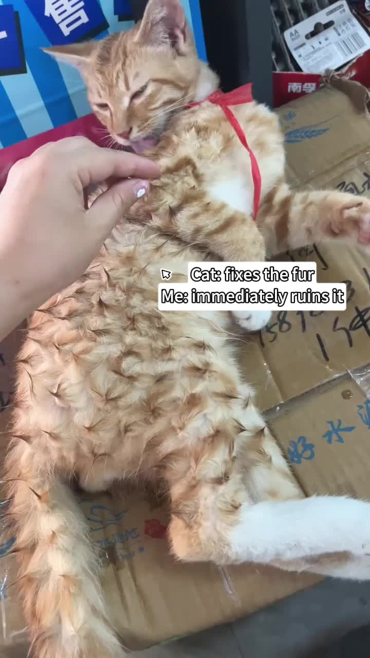 @MoewaiiCat