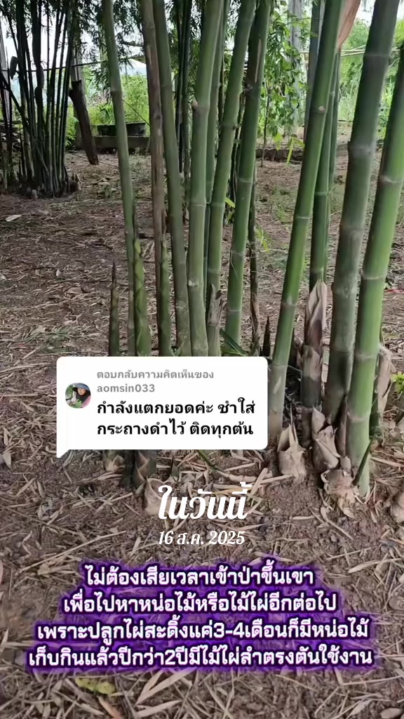 @นัดดาชอป