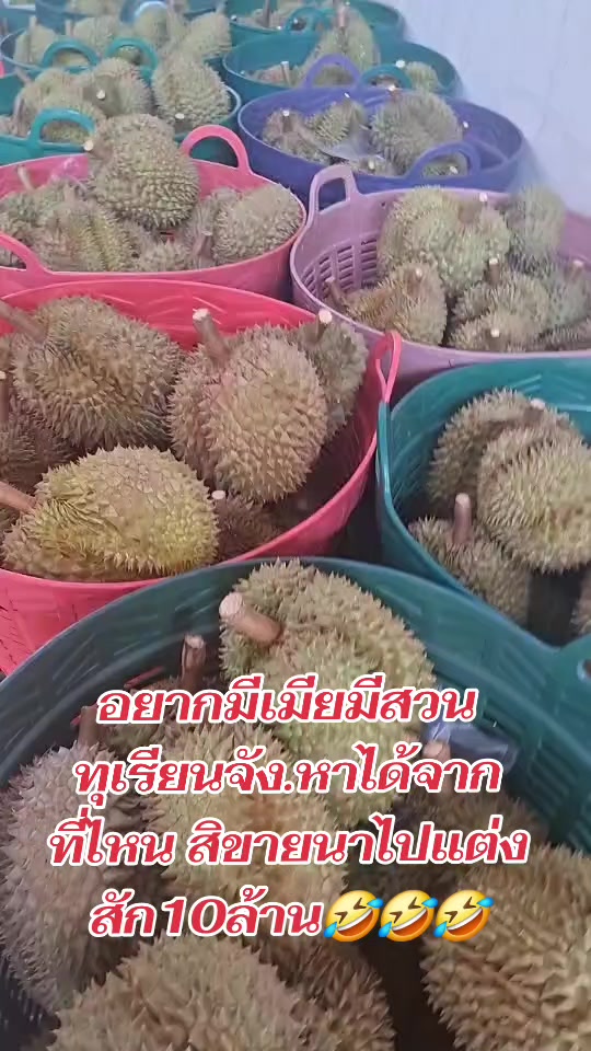 @แล้วแต่พรมลิขิต คนอุบลกันเอง👍