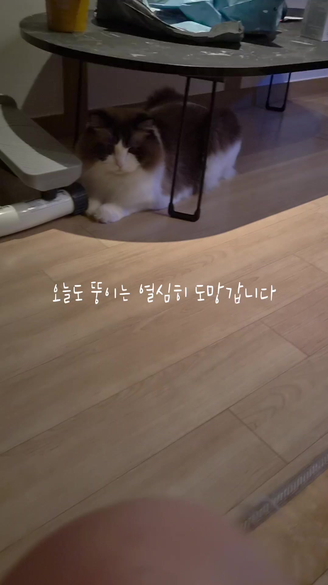 @ddoong2(๋ฑ์ด)