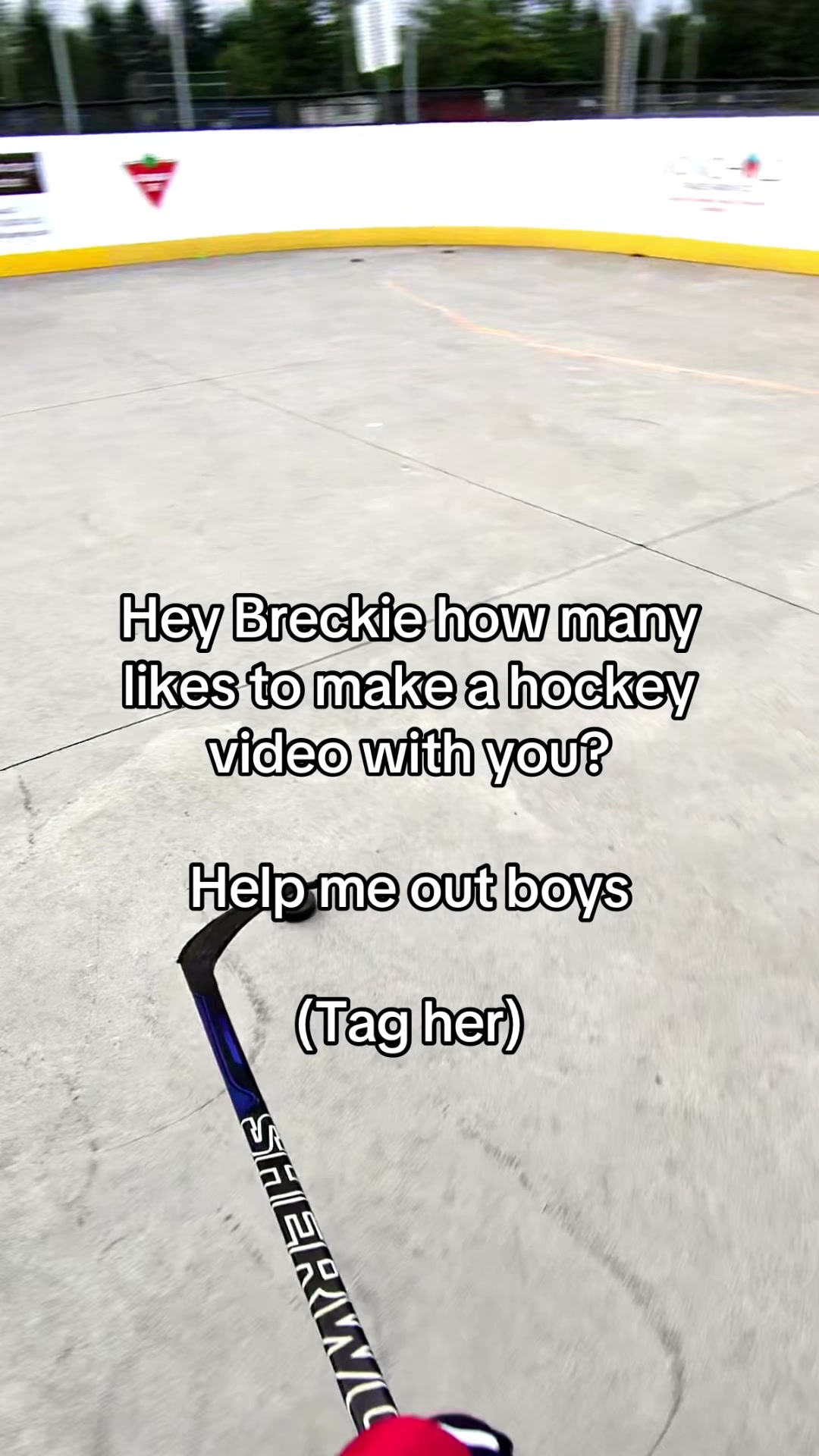 @Hockey Legend