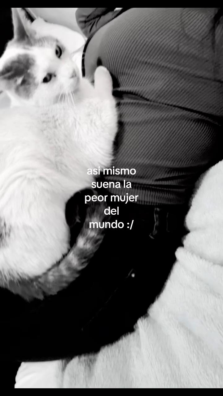 @constvnzvvpvvz