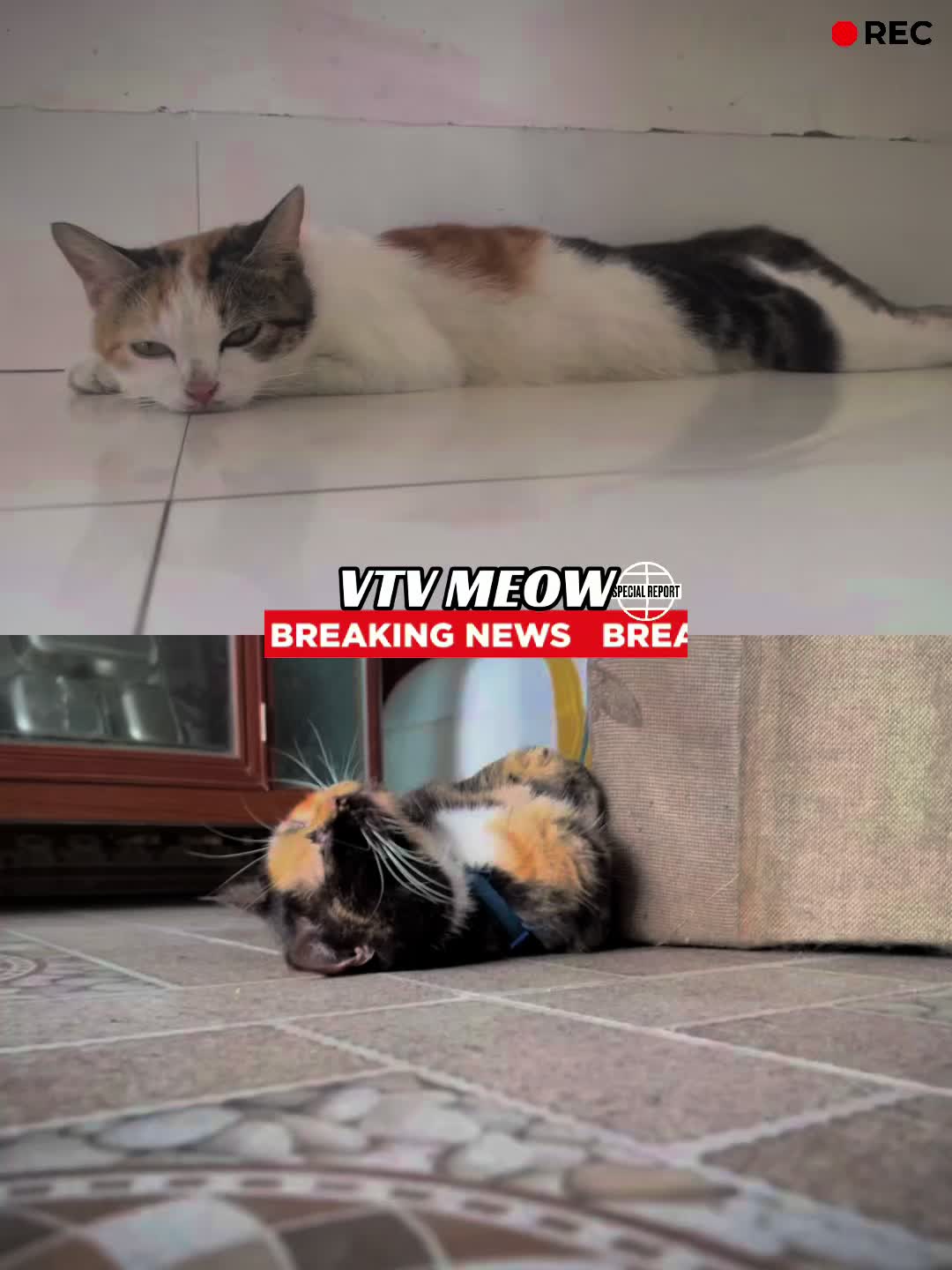 @Tắm mưa trời nắng
