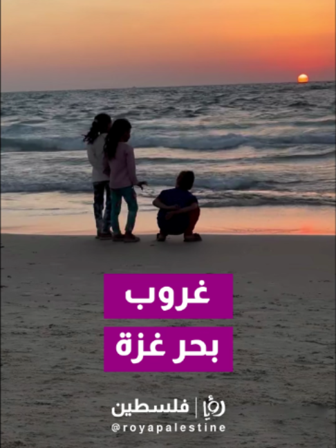 @Royapalestine رؤيا فلسطين