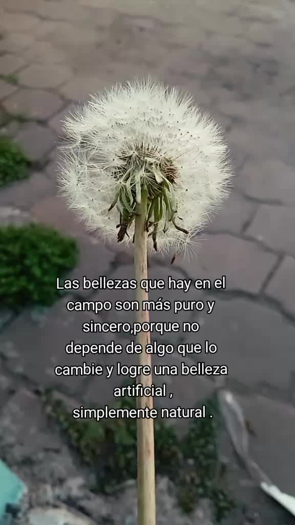 @Luis_13312024