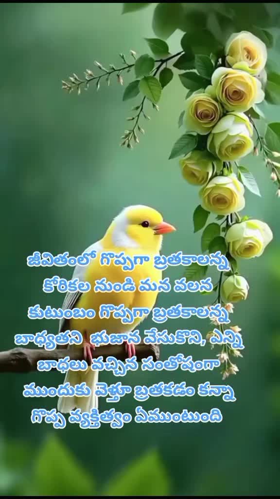@dhandalaswami