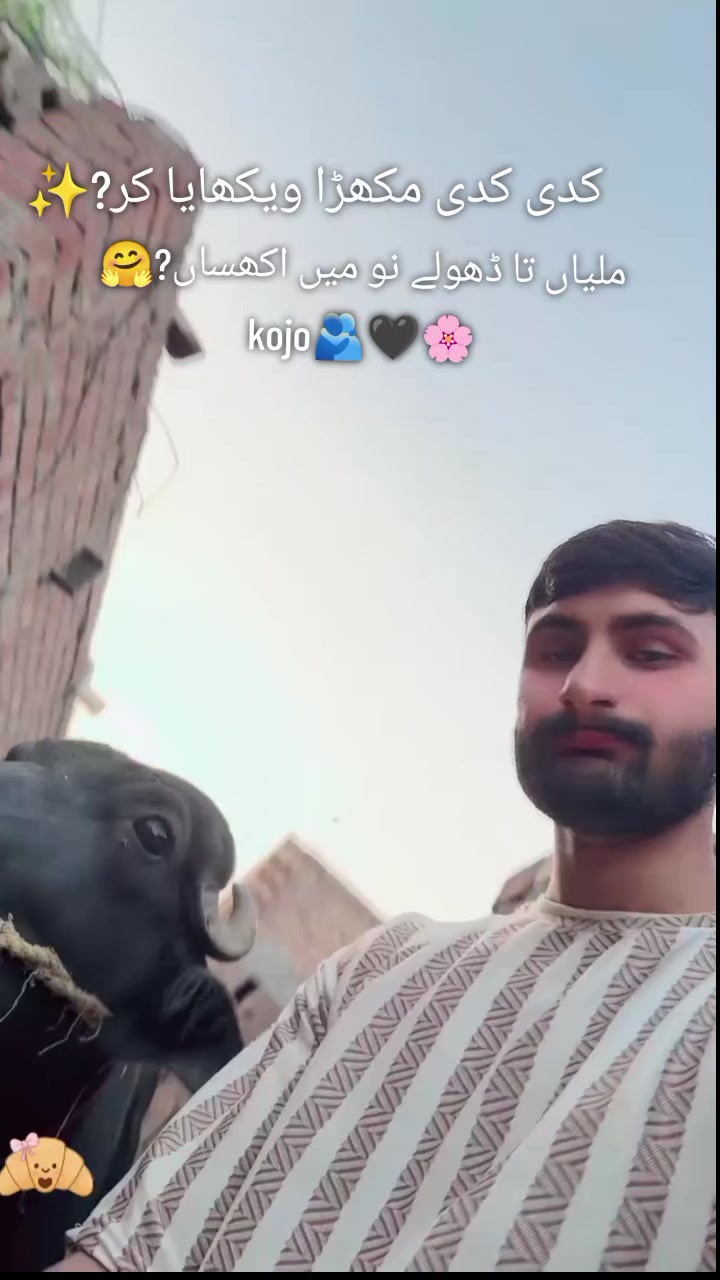 @zoman201