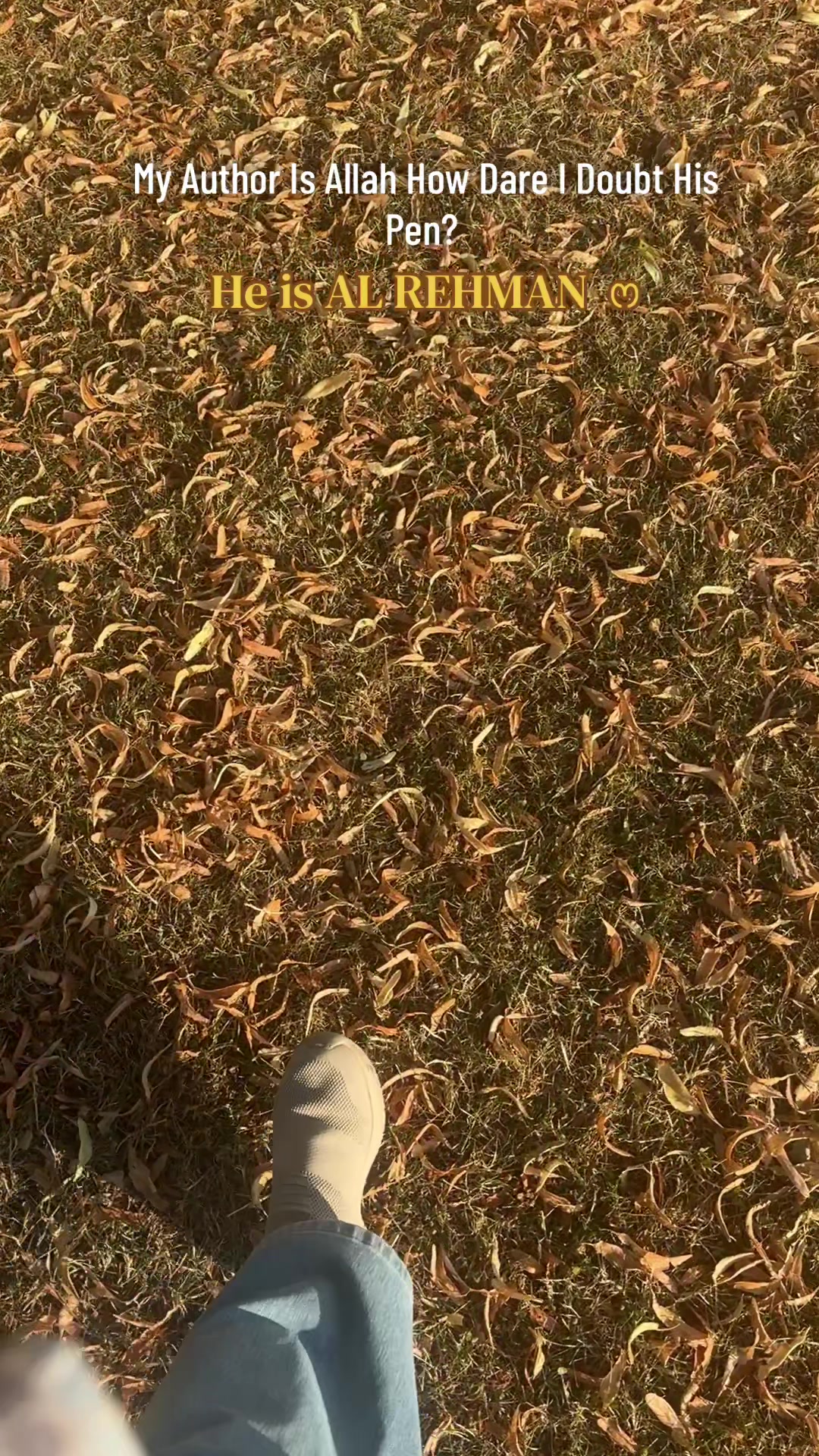 @Aنum Saقib 🇬🇧🇵🇰