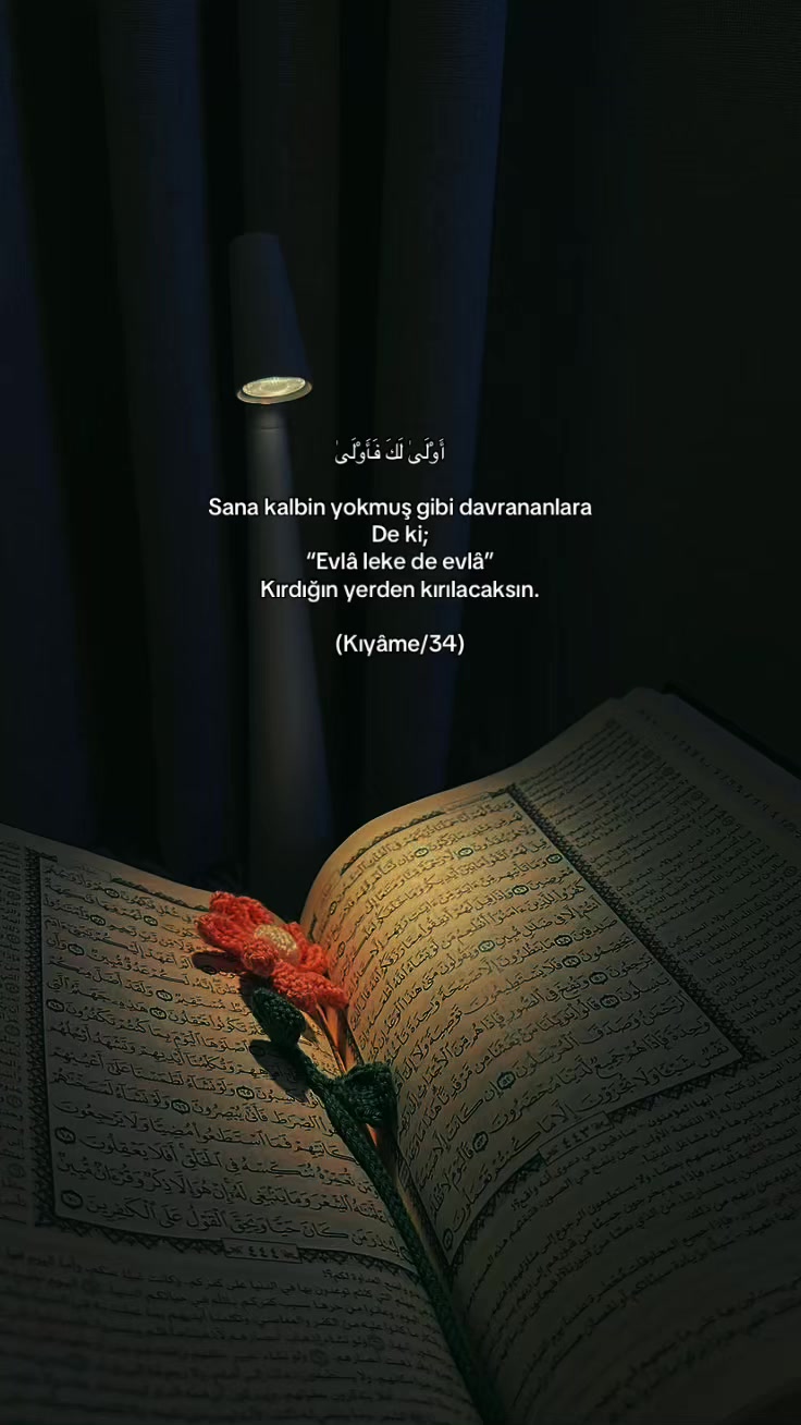 @𝓜𝓮𝓻𝔂𝓮𝓶♡