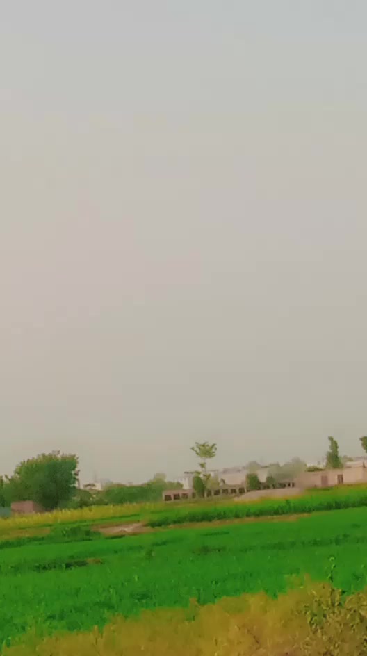 @Zahidjutt