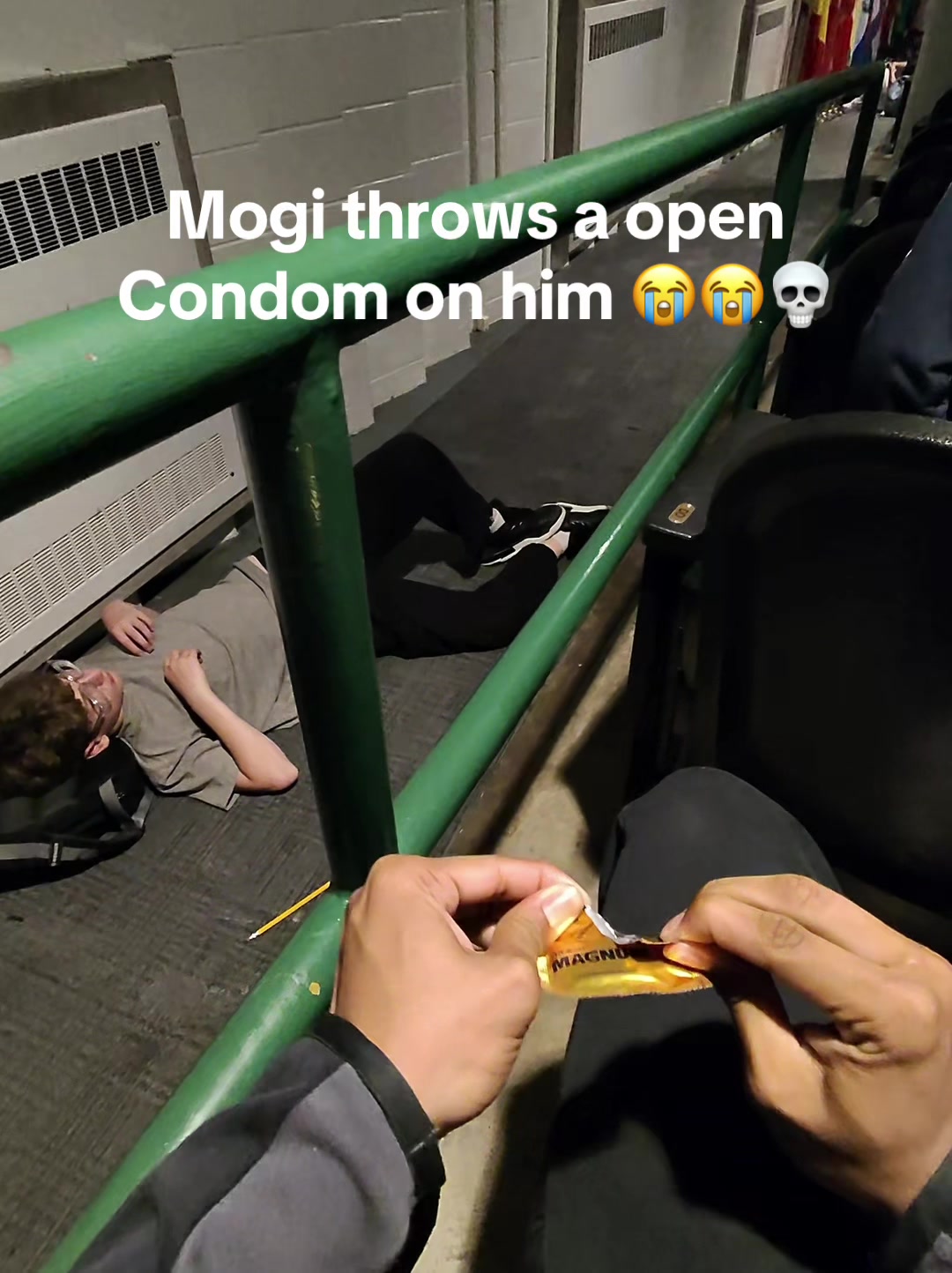@Mogi