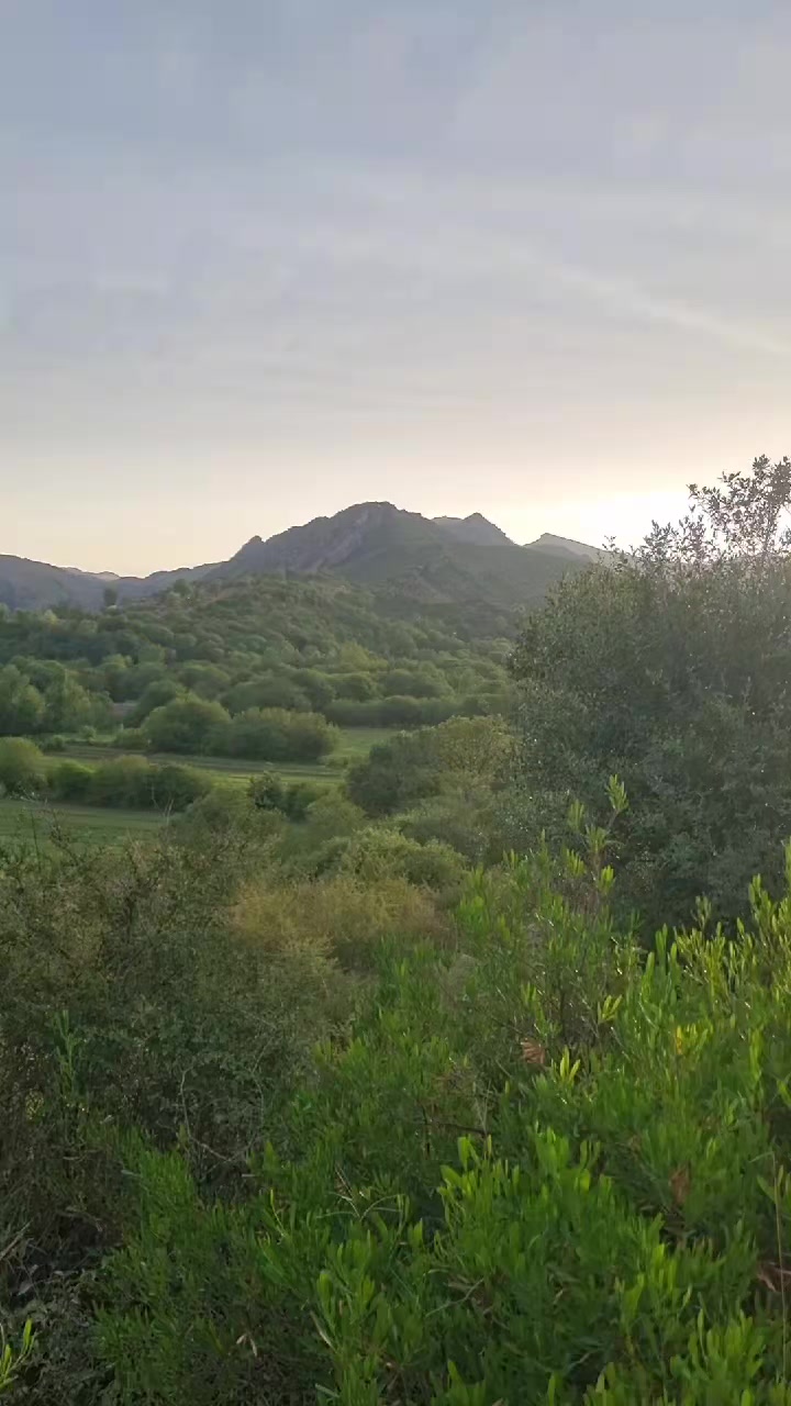 @𝕱𝖆𝖍𝖎𝖒🧿 عباس ★࿐