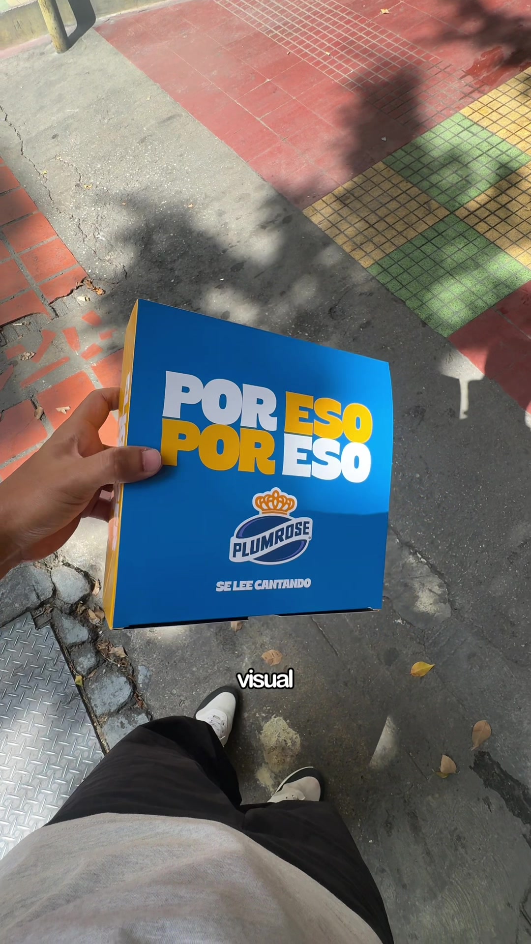 @Sebastian Vielma
