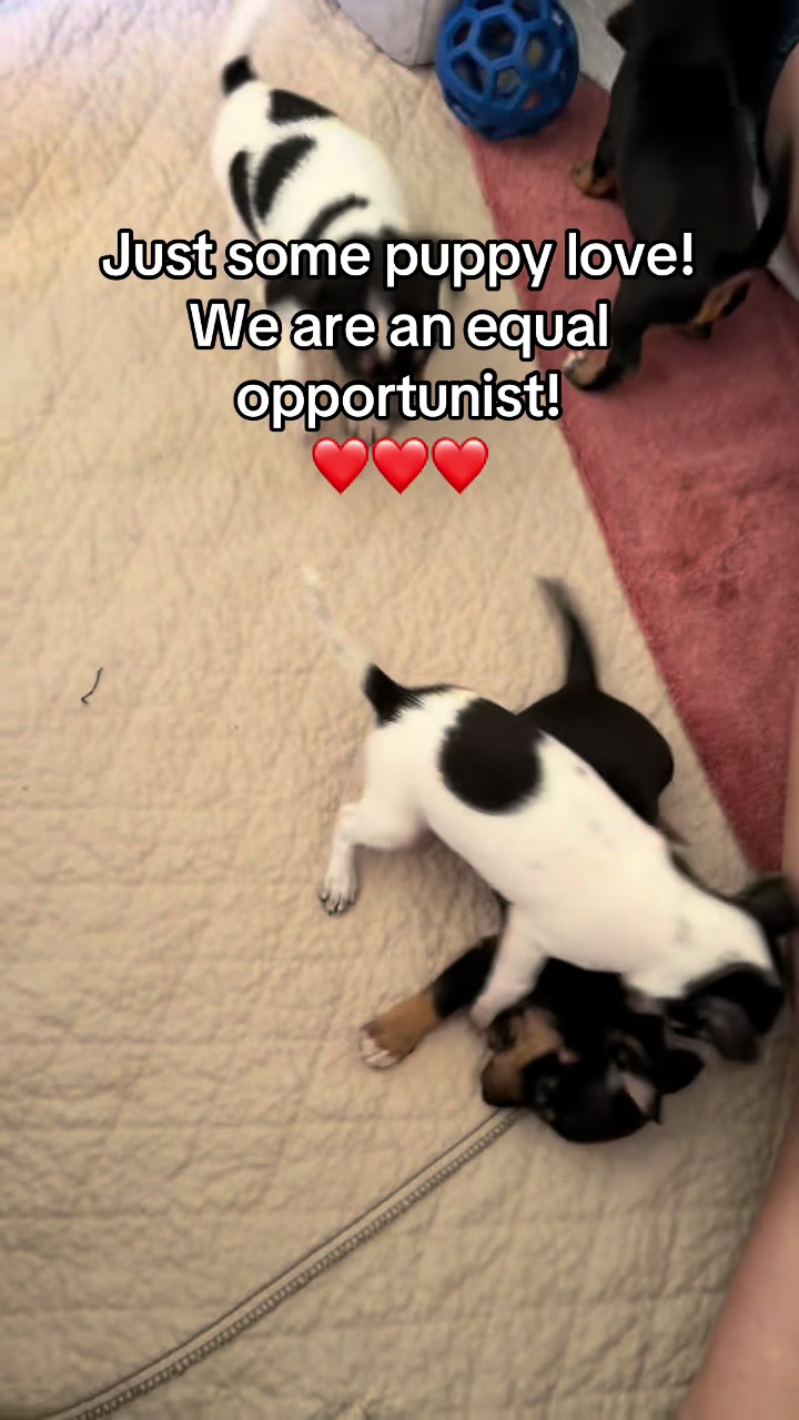 @🐾 Tracy & Katie 🐾