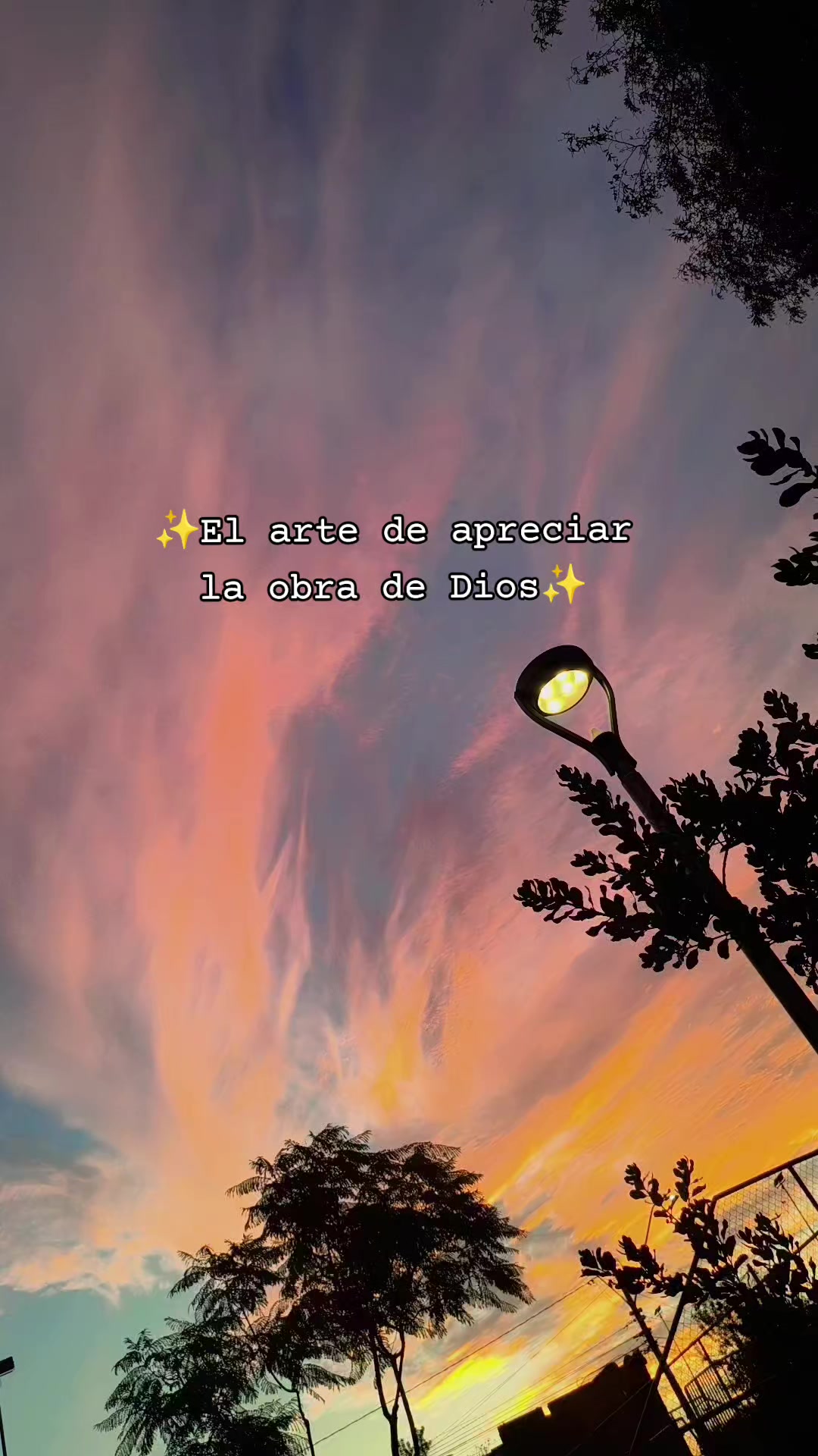 @javiii✨🍀