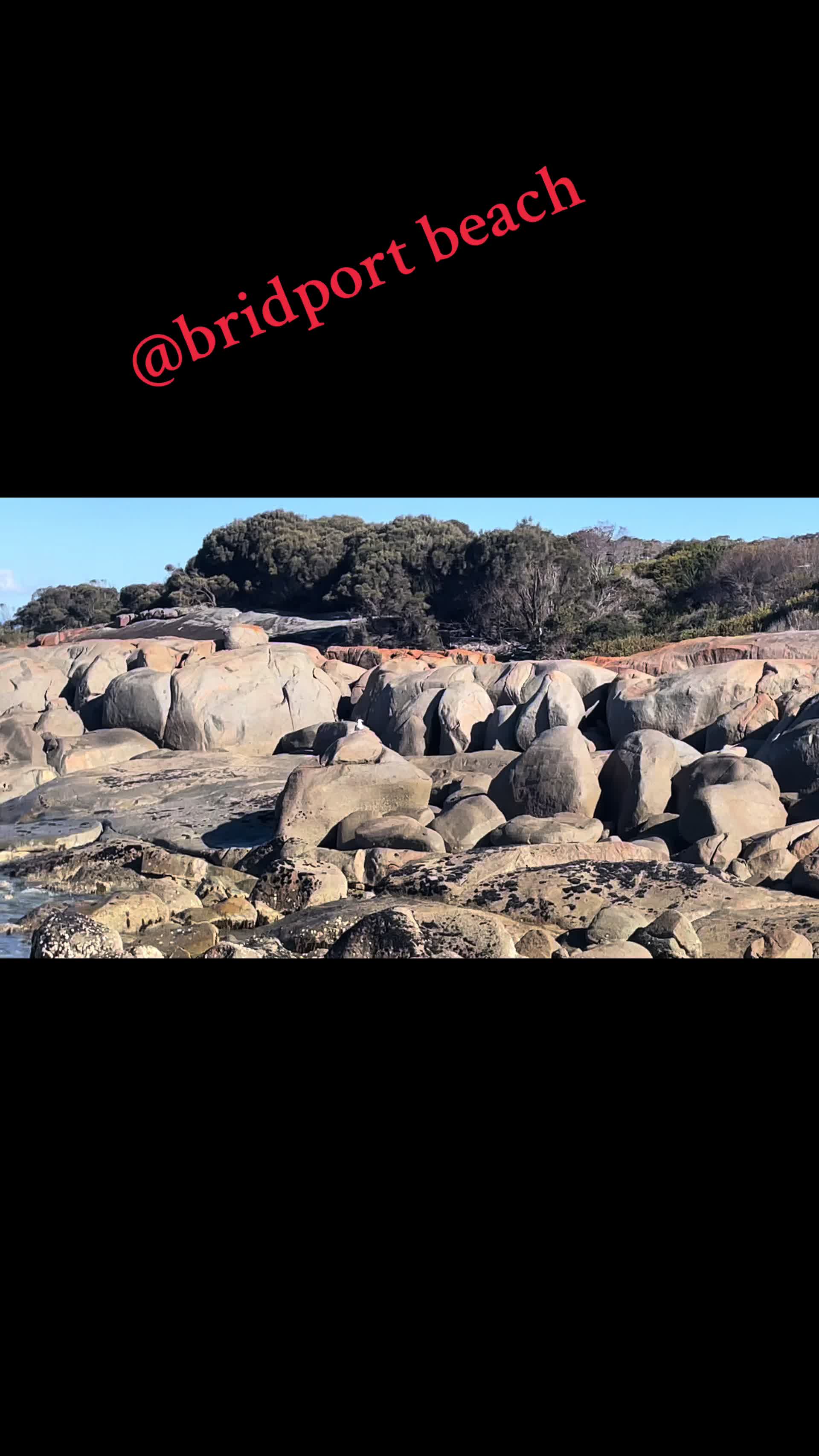 @Dipen🇦🇺🇳🇵