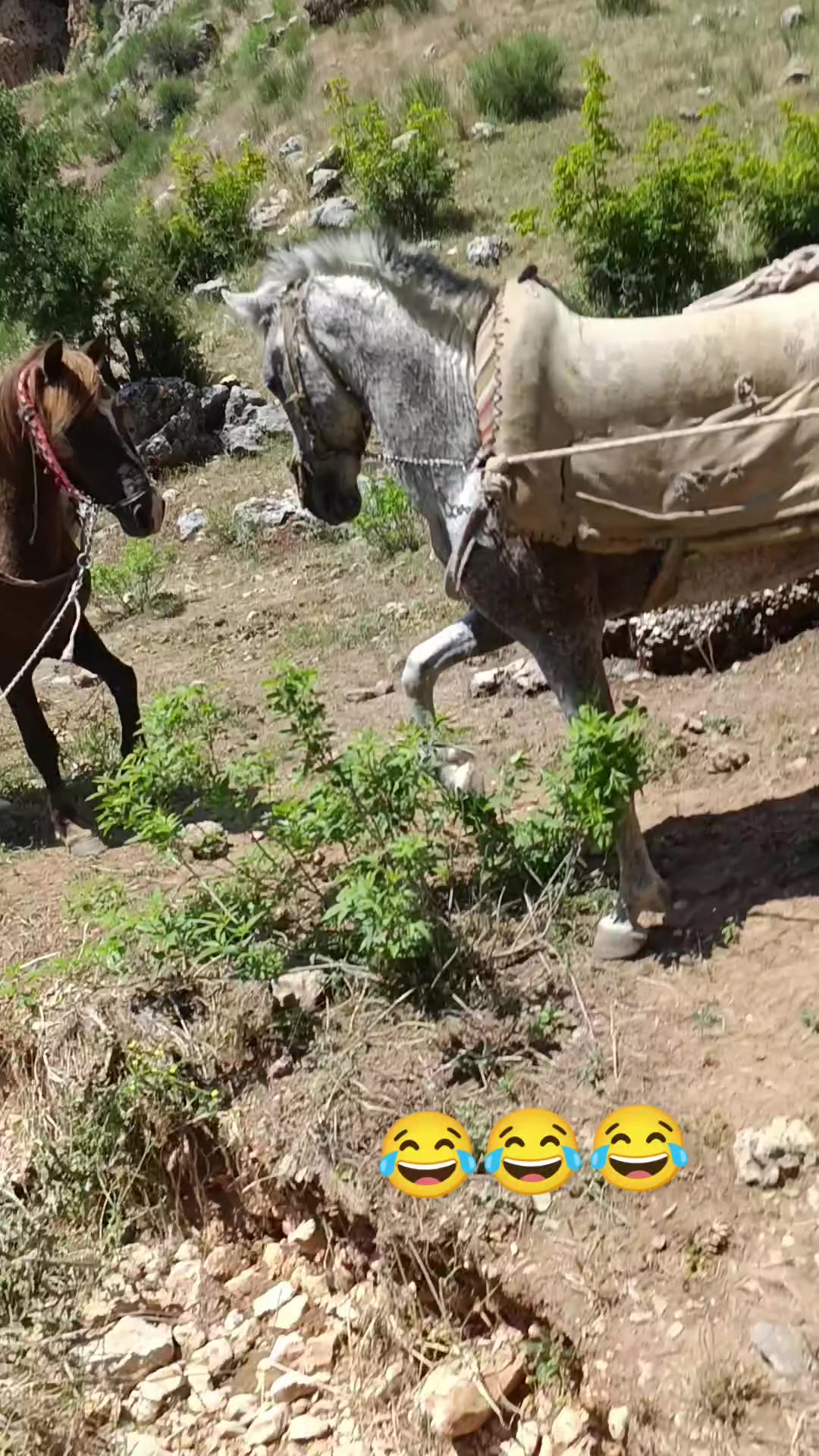 @⚔️ENES &Ccedil;ETİN⚔️
