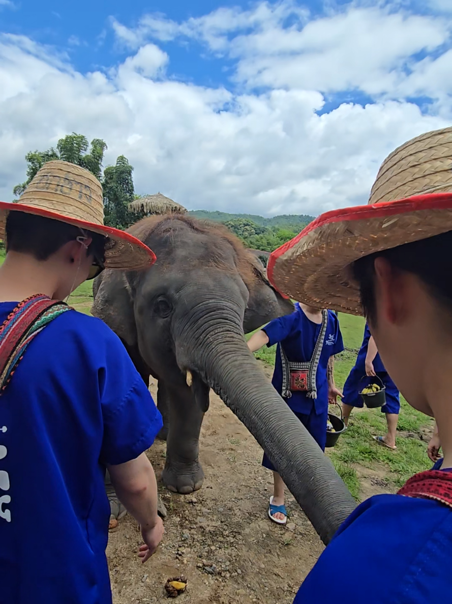 @ควาญแดง พลายภูพิงค์