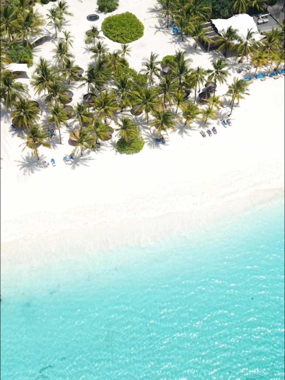 @ZANZIBAR