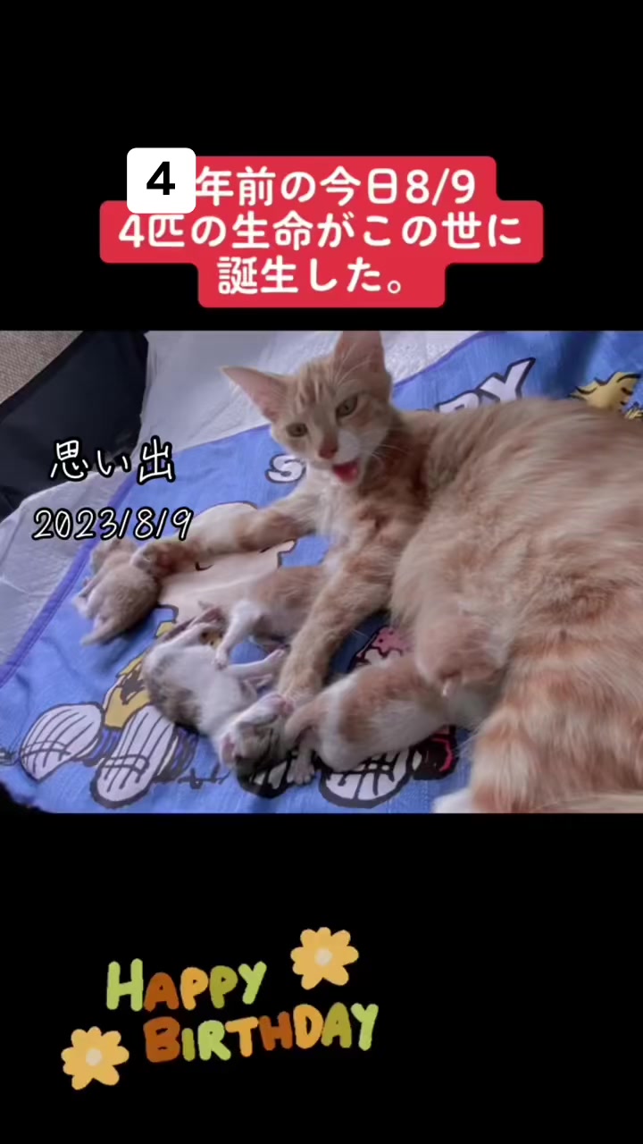 @ブルースカイの倫