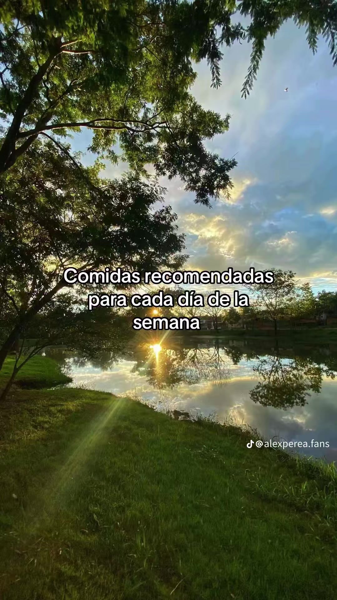 @Rocio Aguiñiga Reyna