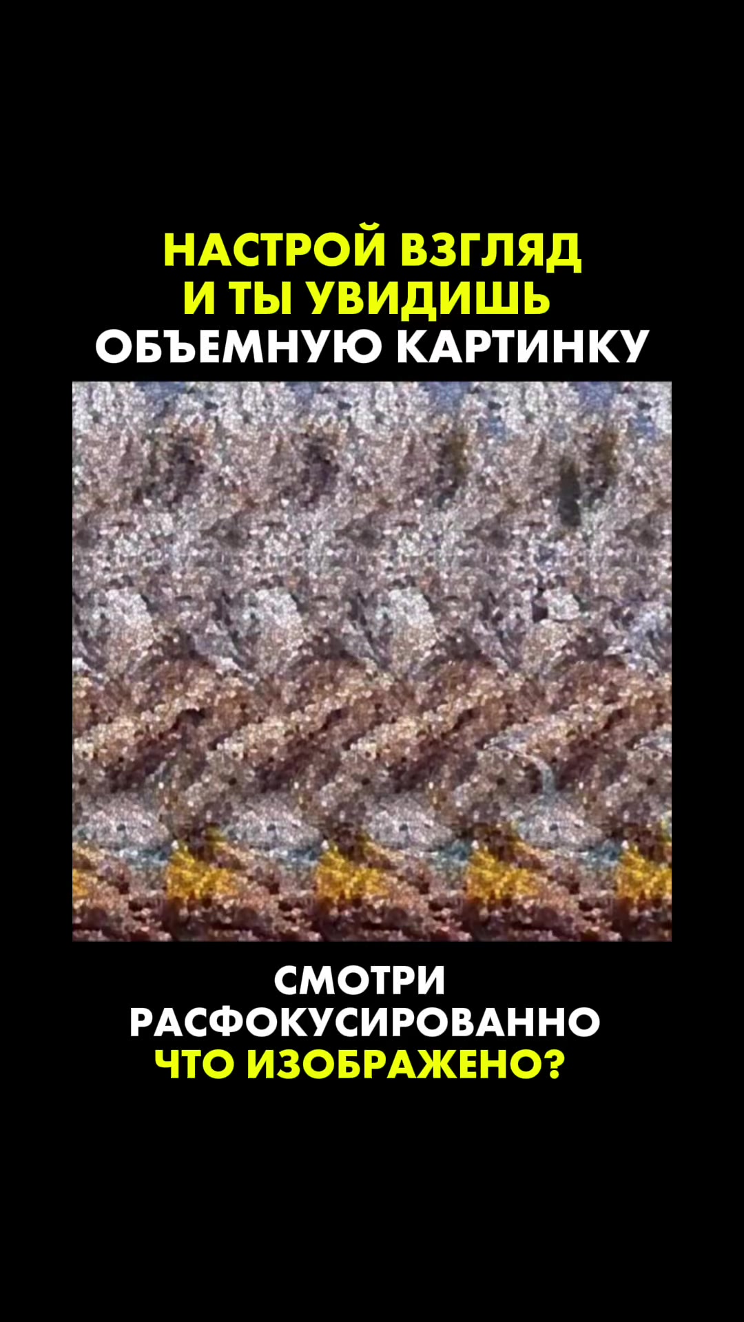 @Доктор Игорь Лузин