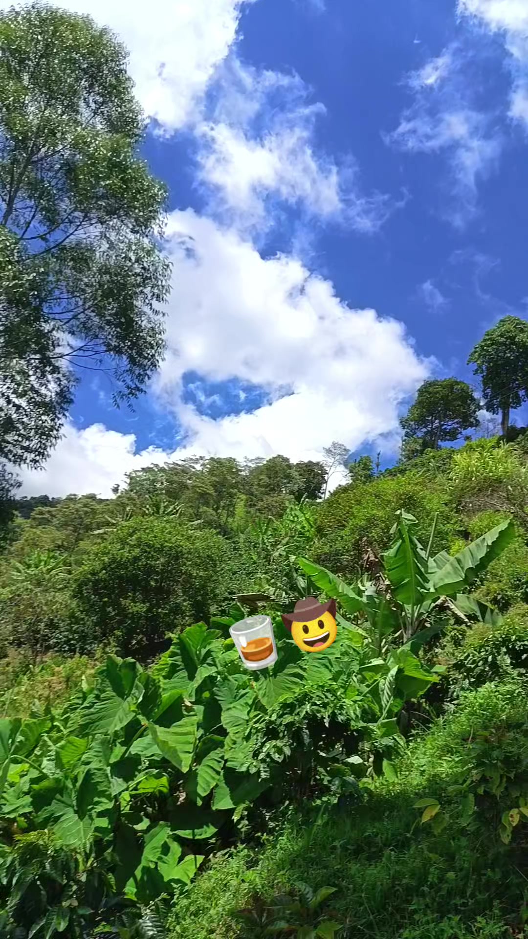 @💥 GARC&Iacute;A💥