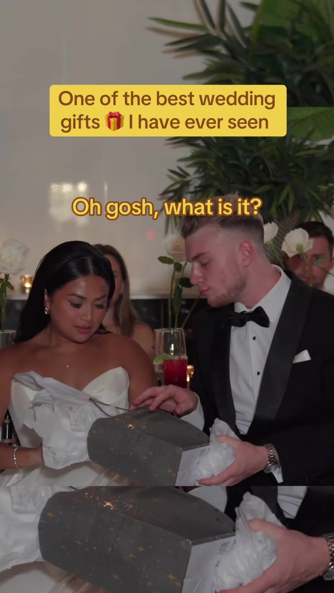 @Virginia Videographer