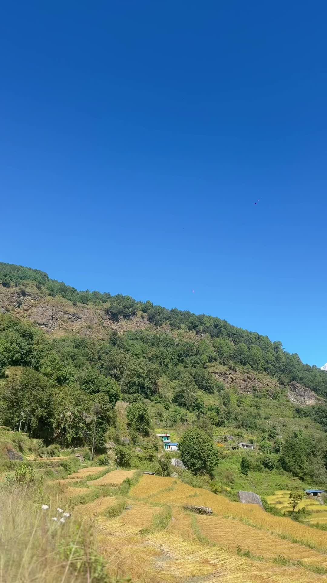 @Routine Of Myagdi Banda