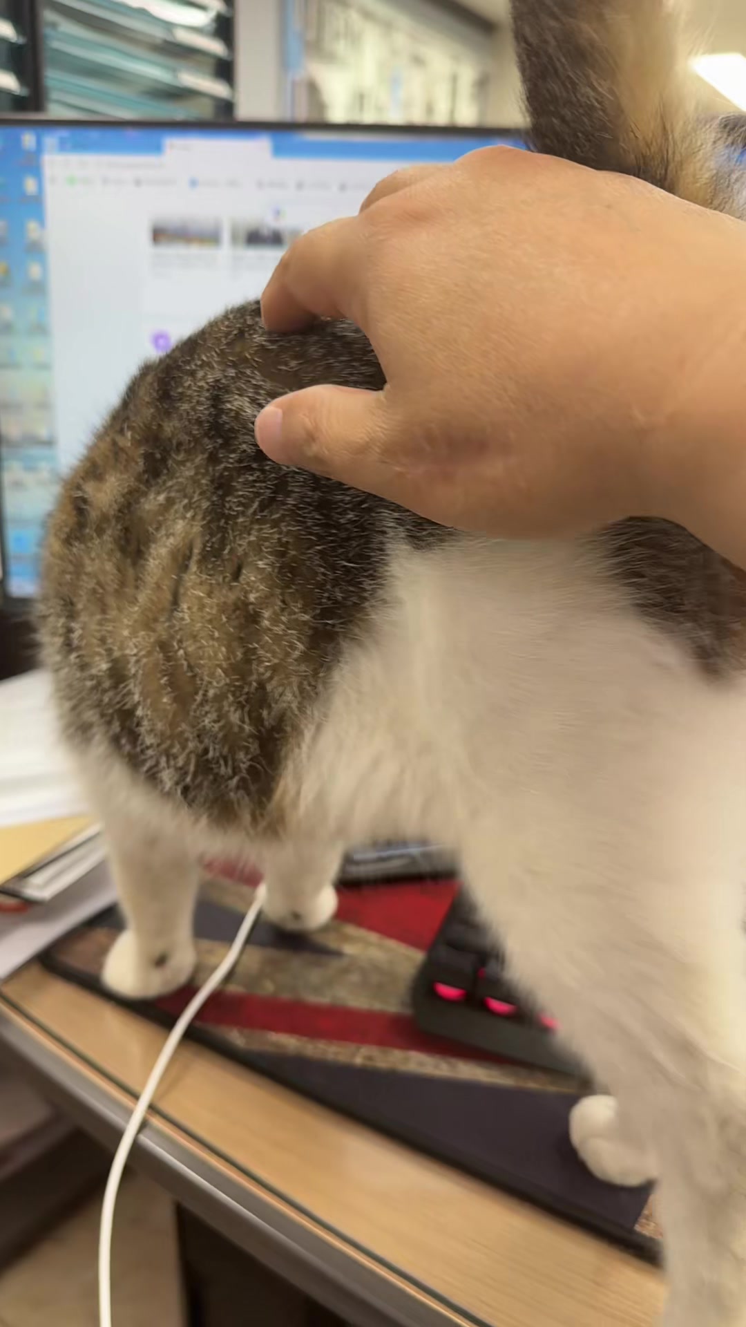 @창해엘앤씨