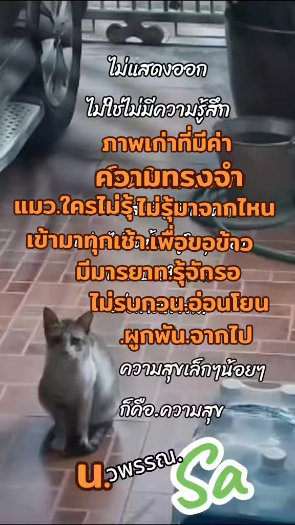 @แม่น้องณัฐ(Sa)