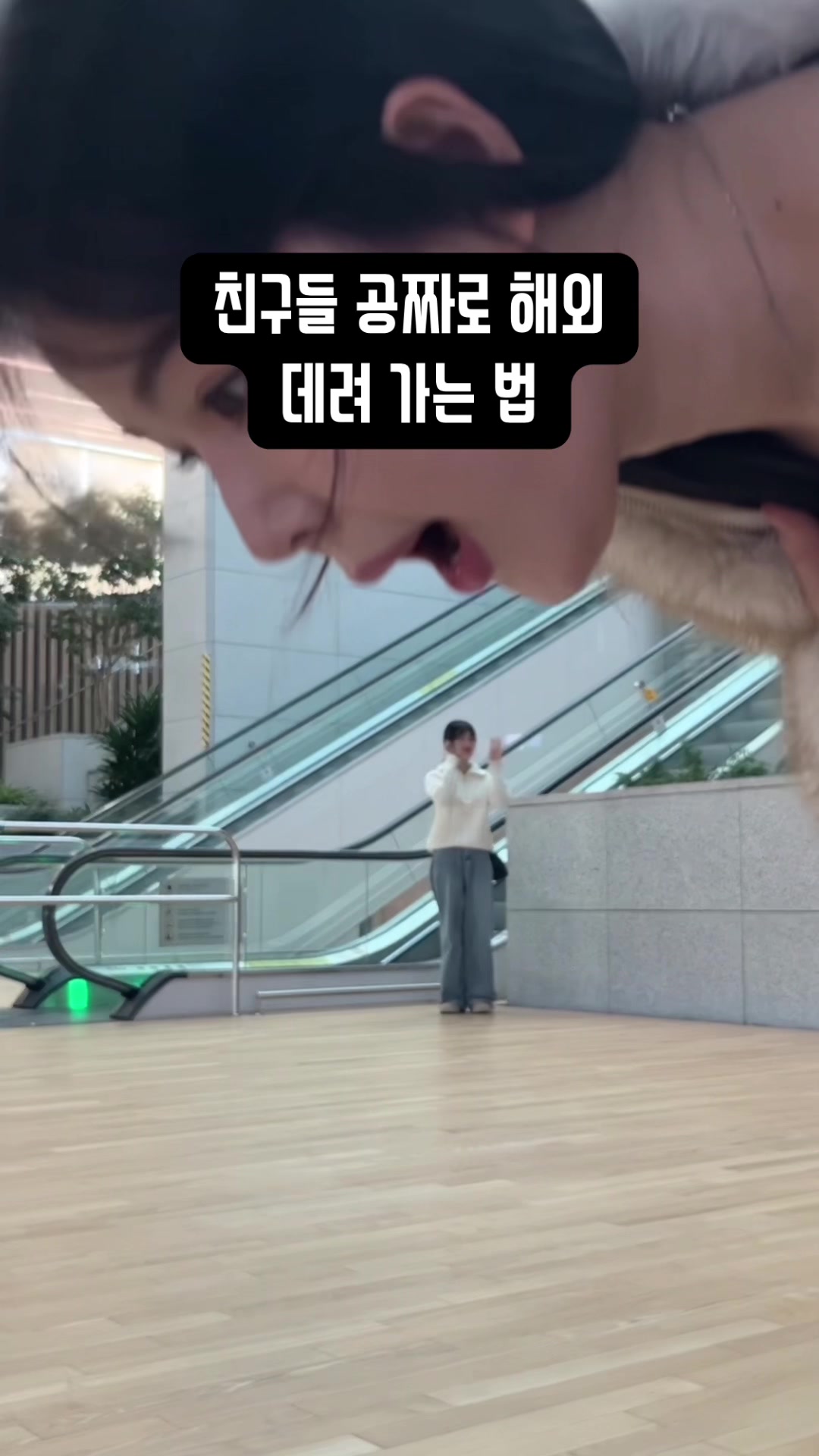 @채유 チェユ🐝🍯